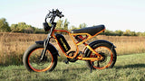 What Makes Moped-Style Ebikes So Popular?