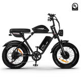 Electric Bikes
