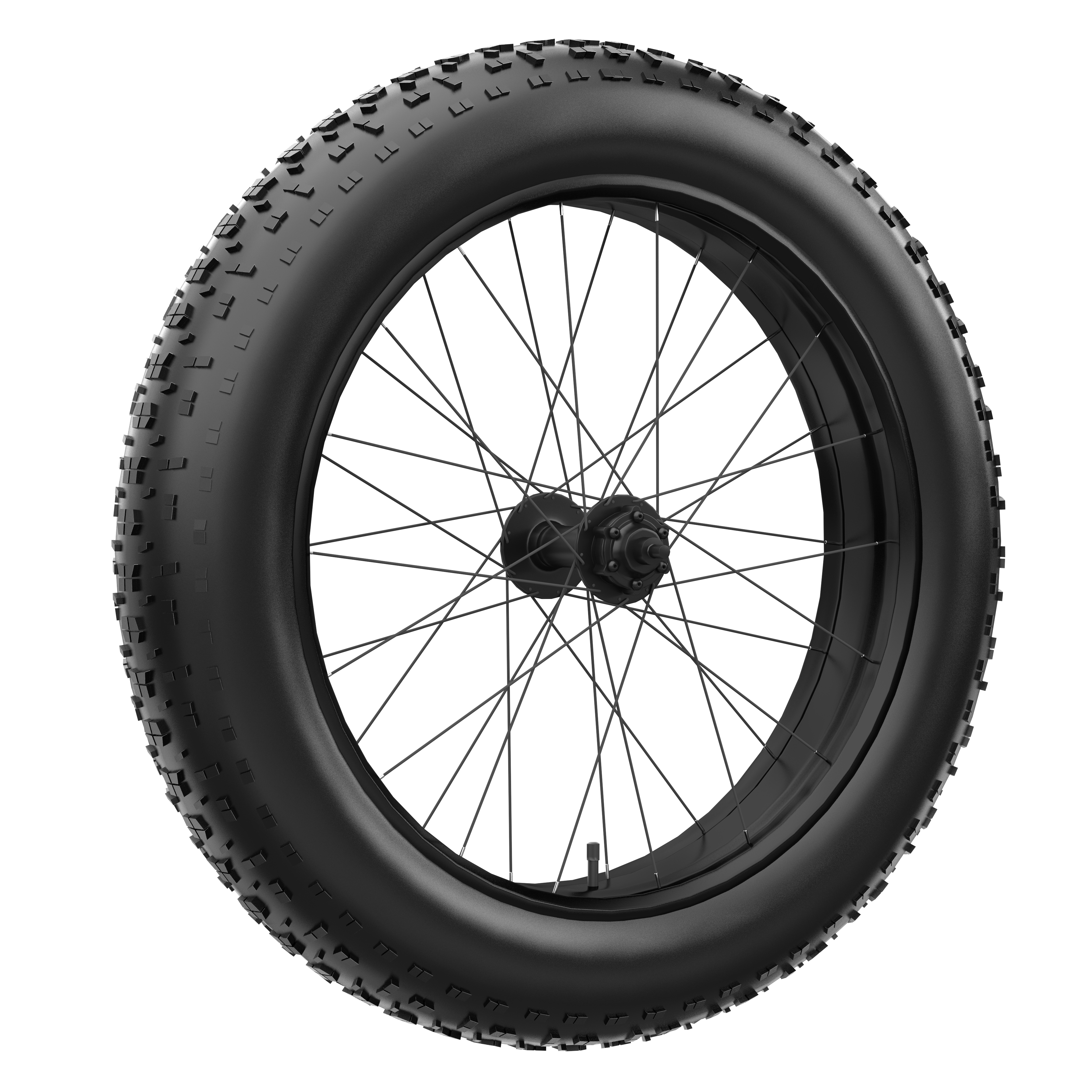 E-Bike Replacement Rim Tire & Spokes Assembly