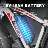 Bluvall B1 Electric Bike
