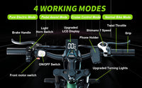 Bluvall V1 Dual Motor Ebike