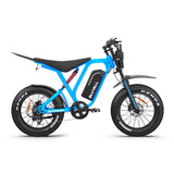 Bluvall R700 1500W 52V Long Range All-Terrain eBike(US)
