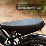 Bluvall R720 48V Electric Bike