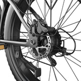 Bluvall V1 Dual Motor Electric Bike (EU)