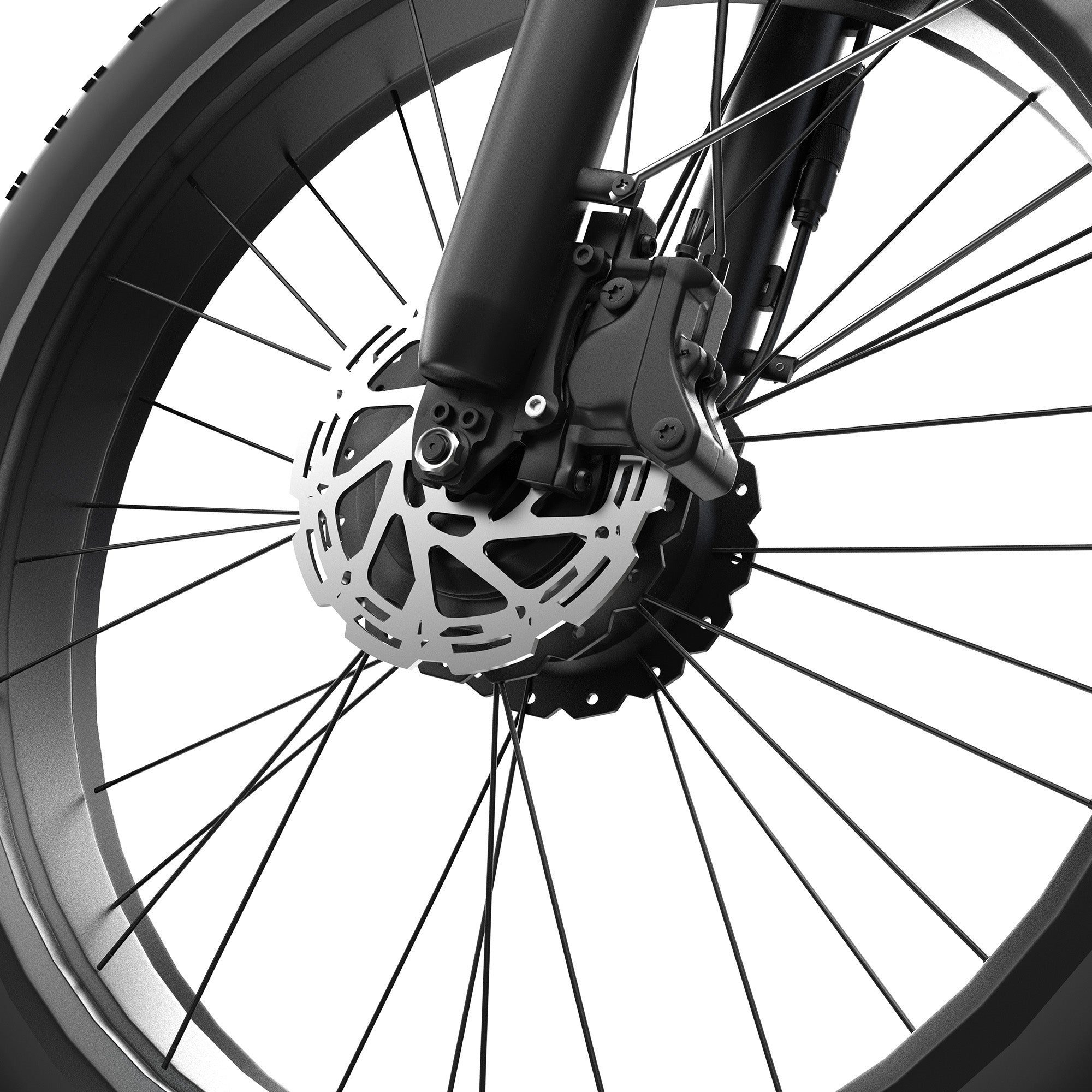 Bluvall V1 Dual Motor Electric Bike (EU)