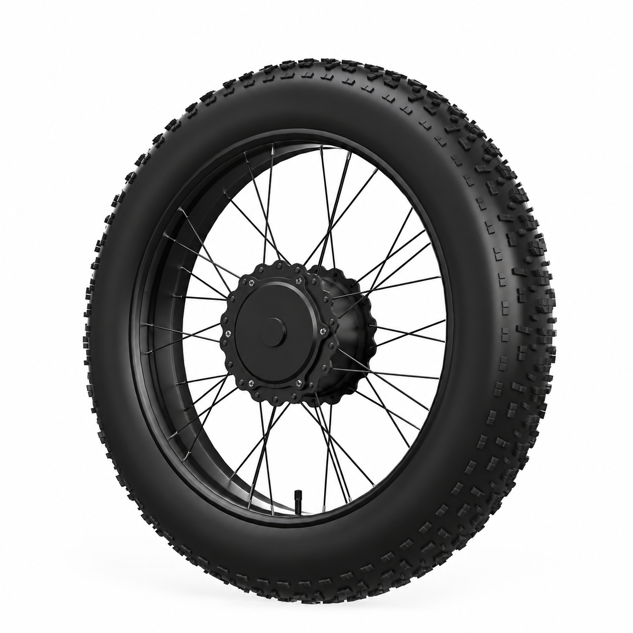 E-Bike Replacement Rim Tire & Spokes Assembly