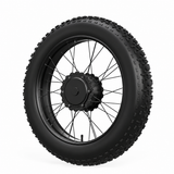 E-Bike Replacement Rim Tire & Spokes Assembly