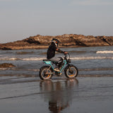 #color_coastal blue
