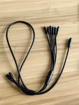 Main Harness
