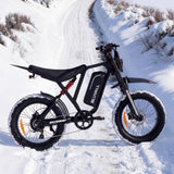 Bluvall R700 1500W 52V Electric Bike - Black(US)