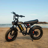 #color_52v black