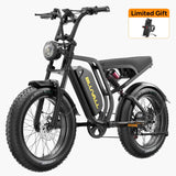 #color_52v black