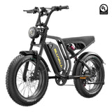 #color_52v black