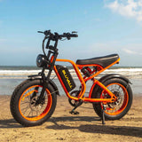 #color_52v orange