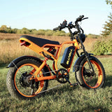 #color_52v orange