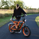 #color_52v orange
