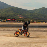 #color_52v orange