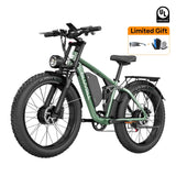 Bluvall V1 Dual Motor eBike
