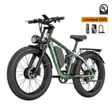 Bluvall V1 Dual Motor eBike