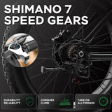 Bluvall V1 Dual Motor eBike