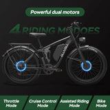 Bluvall V1 Dual Motor eBike