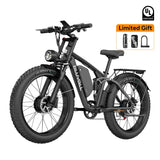 Bluvall V1 Dual Motor eBike