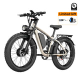 Bluvall V1 Dual Motor eBike