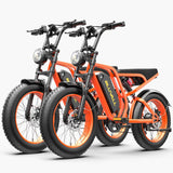 Bluvall SU8 48V 1000W Full Suspension eBike 2 pack