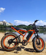 Bluvall SU8 Ebike