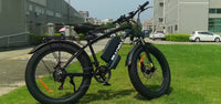 Bluvall B1 Electric Bike